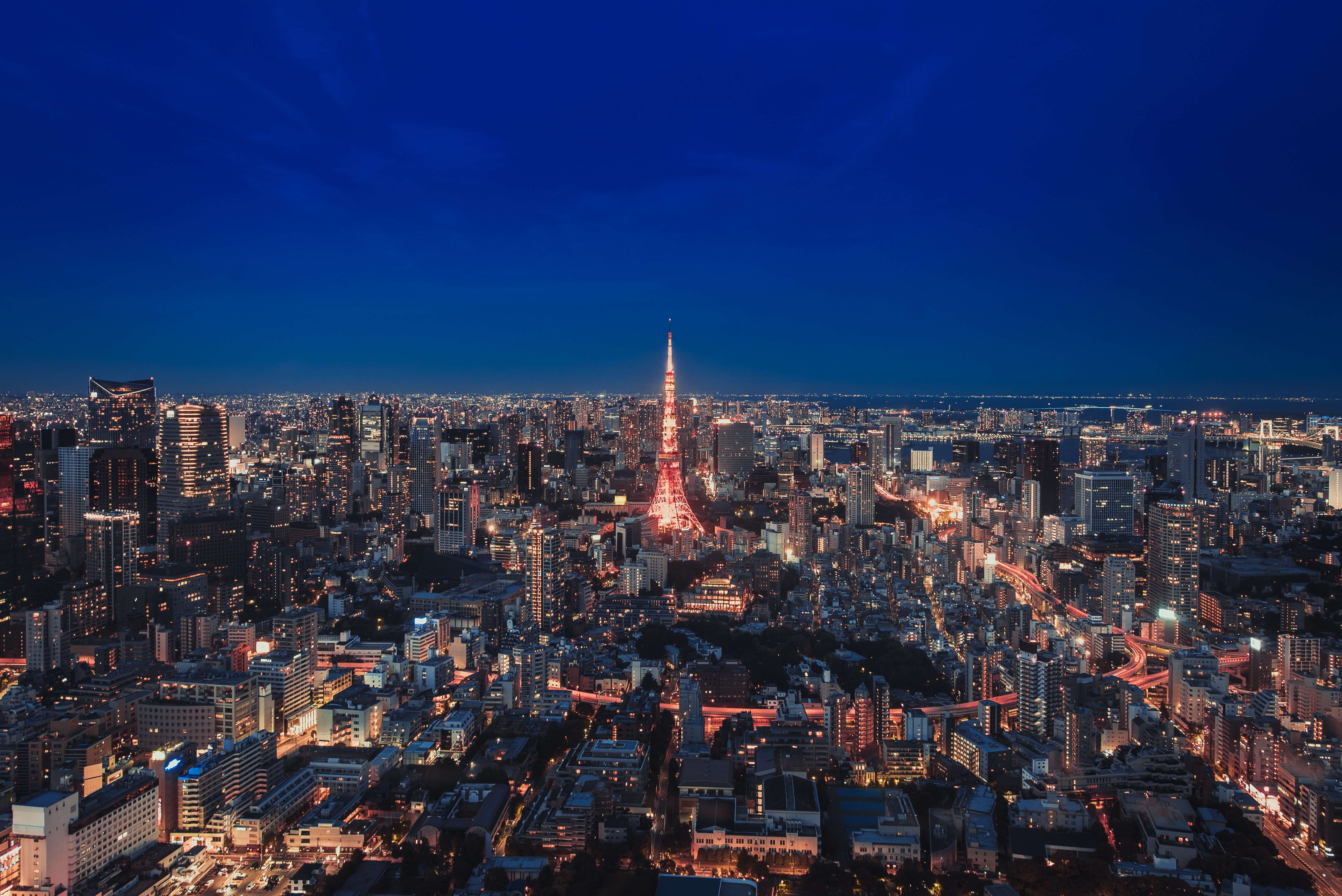 altテキストの例として用いる夜の東京タワー