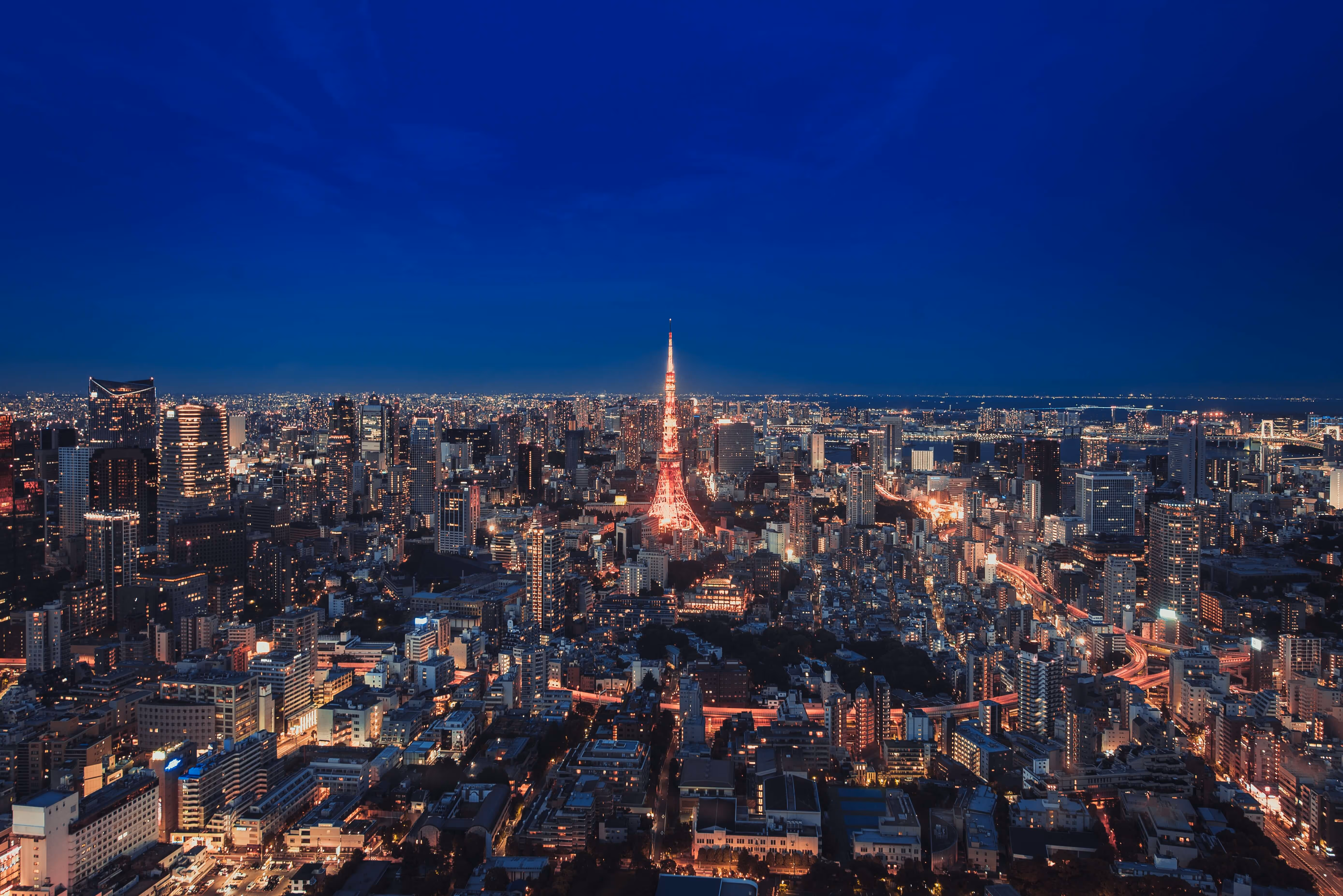 altテキストの例として用いる夜の東京タワー